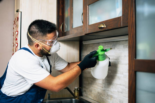 Best Best Pest Control Companies  in Earlimart, CA