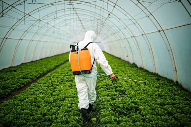 Best Commercial Pest Control Services  in Earlimart, CA