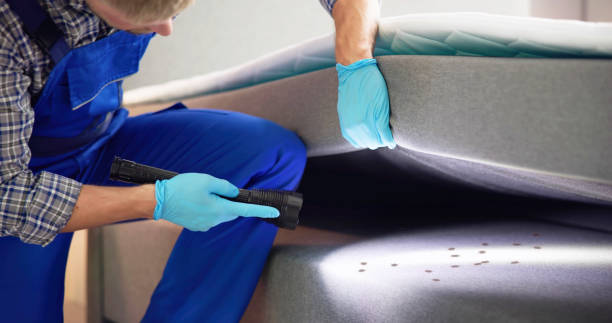 Best Mosquito Control Services  in Earlimart, CA