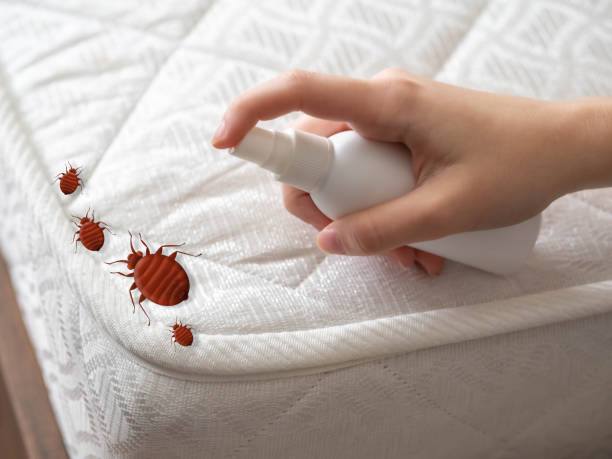 Best Pest Prevention Services  in Earlimart, CA